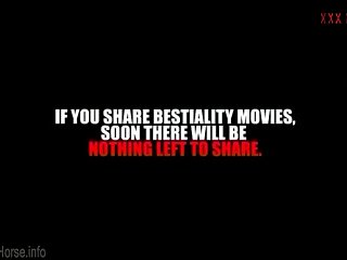 Free Sex Videos With Animal