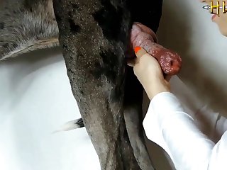 Kemono Hime Animal Princess Sex Doll