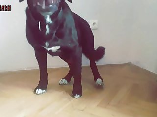 What Is Dressing Up As Animal Sex