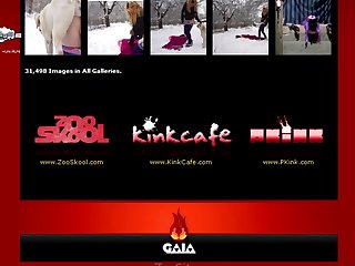 Girl Animal Sex Twitter