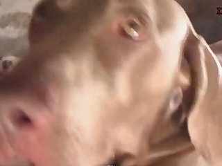 Xxx Sex Animal Girl
