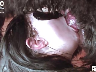 Animal Sex Video Free