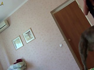 Gay Animal On Animal Sex