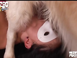 Animal Rep Sex