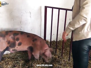 Animal Sex Video Cartoon