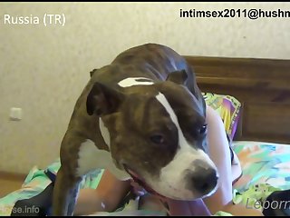 Animal Grils Sex