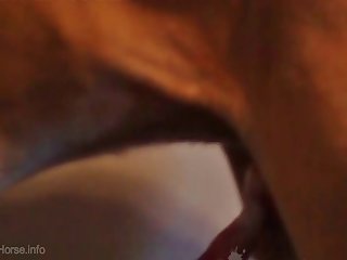 Big Ass Sex With Animal