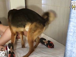 Second Life Animal Sex