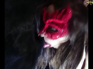 Human And Animal Sex Called