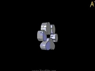 Animal Sex Videos Free