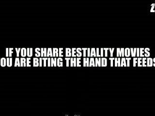 Animal Sex Vudeos
