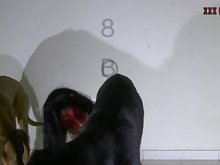 Free Sex Animal Videos
