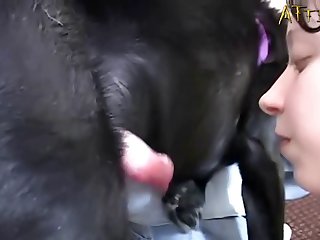 Sex Tube Animal And Women