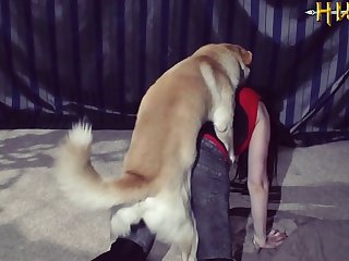 Beastiality Animal Sex Zoophilia Dog Horse Donkey