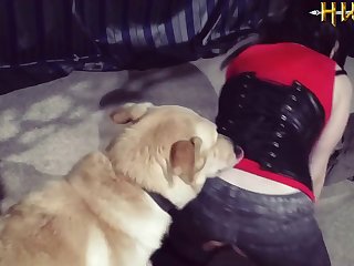 Beastiality Animal Sex Zoophilia Dog Horse Donkey