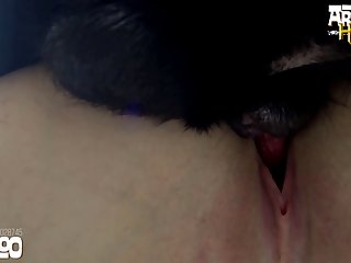 Animal Sex Sex Sex