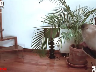 Girls With Animal Sex Video