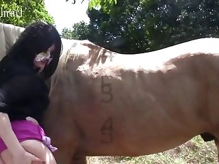 Is Sex With An Animal Illegal