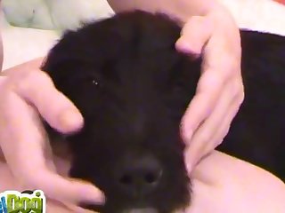 Www Animal Sex Video.com