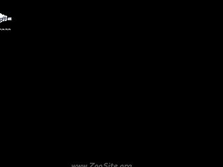 Sex Animal Animated