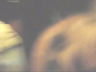Animal Dog Sex Videos