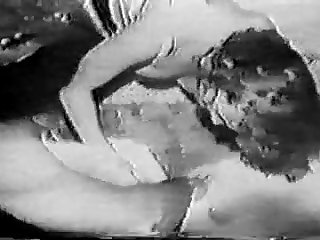 Animal Has Sex With Man