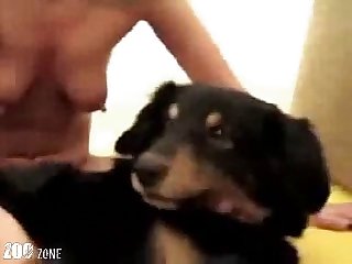 Gay Zoofilia Sex
