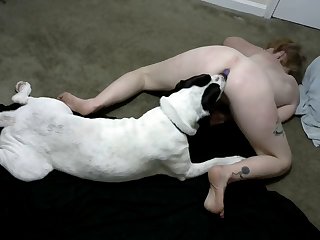 Dog On Dog Sex Porn