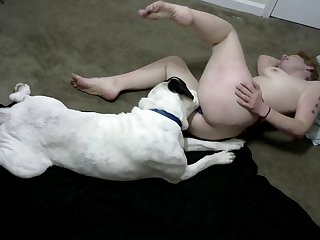 Dog On Dog Sex Porn