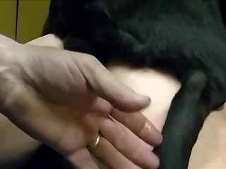 Animal Sex Yaoi