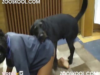 Porno Zoofilia Gorila