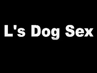 Dog Fucke Girl Porn
