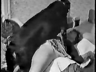Sex Female And Animal