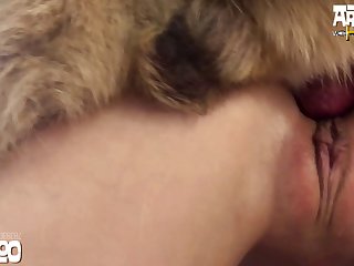 Porn Horse Full
