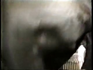 Rick And Morty Horse Princess Porn