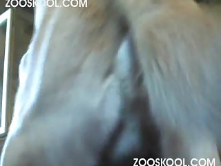 Sexo Desenho Zoofilia