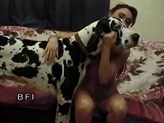 Zoofilia Cerdos Porno