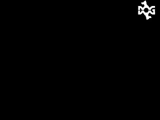 Veronica Zoofilia Porno