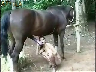 Mujeres Y Caballos Zoofilia