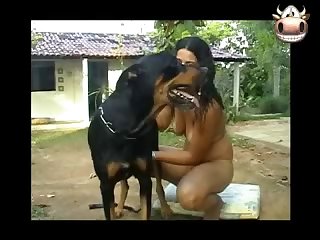 Porno Zoofilia Caballo Gay