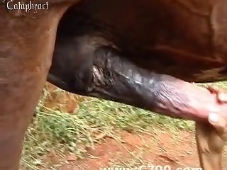 Best Ass In Porn Xxx