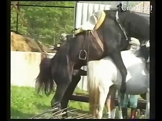 The Dark Knight Xxx A Porn Parody