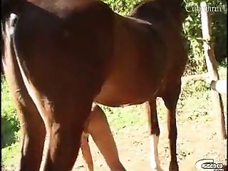 Xxx Porn Korean Movie