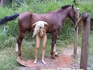 Gay Porn Pics Xxx
