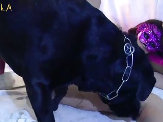 4k Xxx Porn Videos