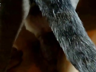 Pinky Xxx Porn Video
