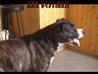 Bbw Porn Xxx Videos