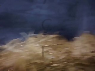 Tongue Blowjob Cumshots Porn Xxx