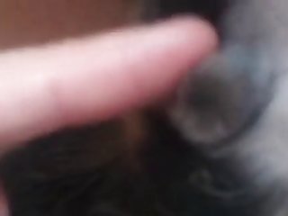 Pakistani Actor Hira Mani Xxx Porn