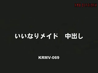 Animal Sex Girls Videos